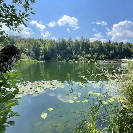 Residenz Aichwaldsee Апартаменты *