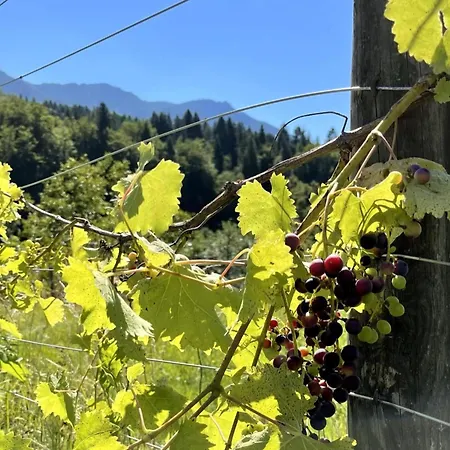 公寓 Residenz Aichwaldsee *