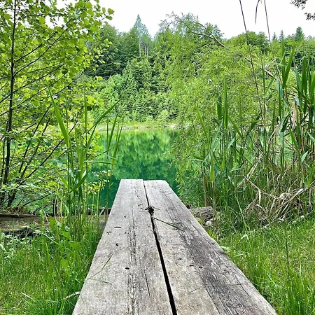 アパート Residenz Aichwaldsee Unteraichwald