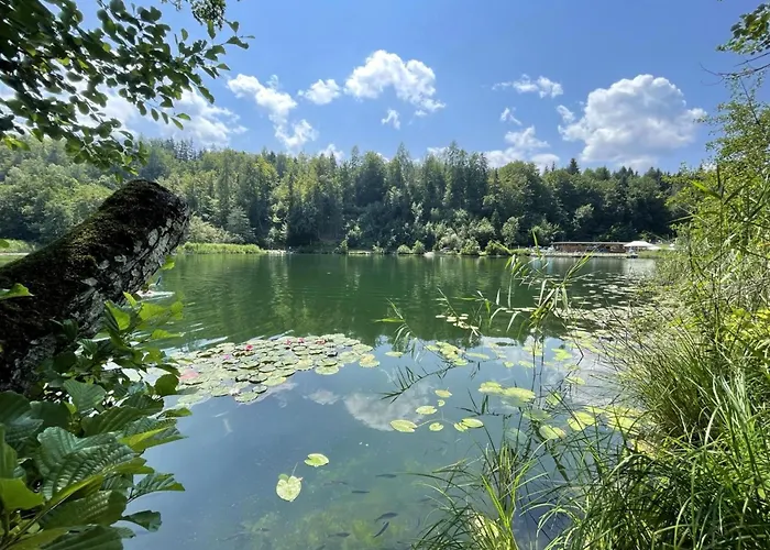 Residenz Aichwaldsee Appartamento *