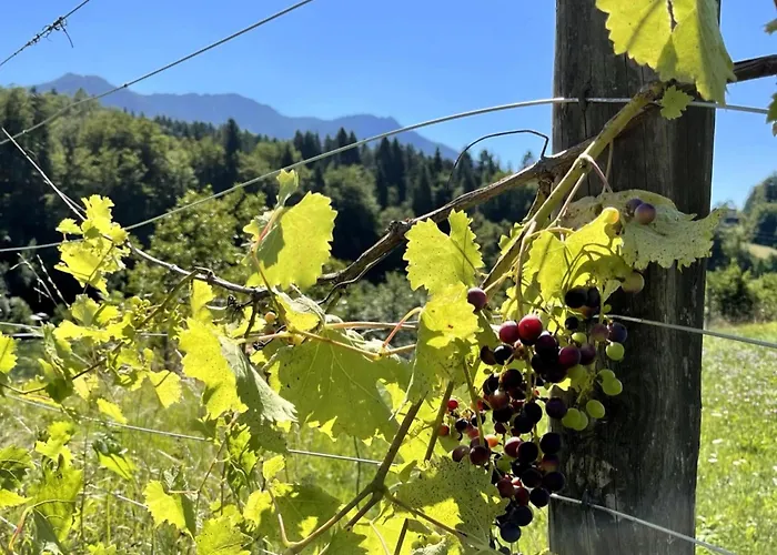 דירה Residenz Aichwaldsee *